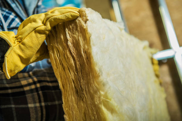 Best Eco-Friendly Insulation in Wheeling, IL